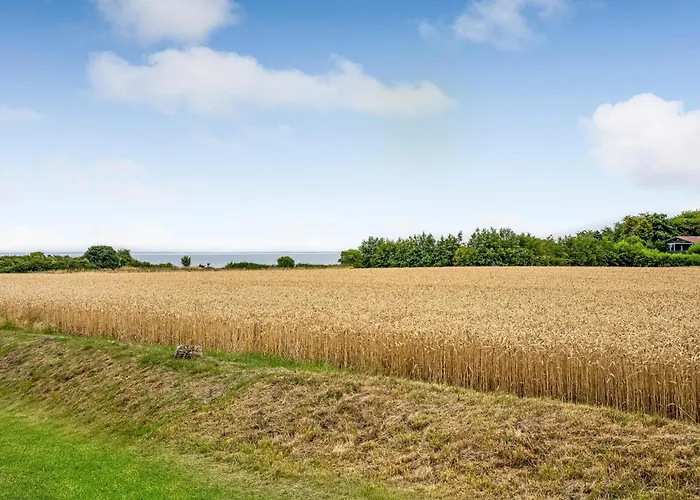 Vinkelbaek
